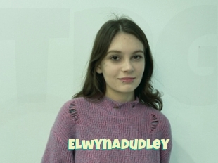 Elwynadudley