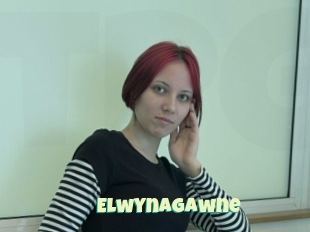 Elwynagawne