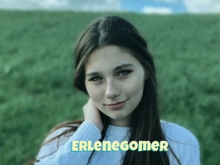 Erlenegomer