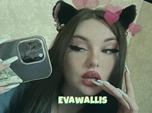 Evawallis