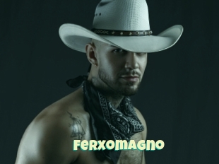 Ferxomagno