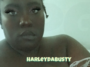 Harleydabusty