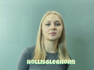 Hollisgleghorn