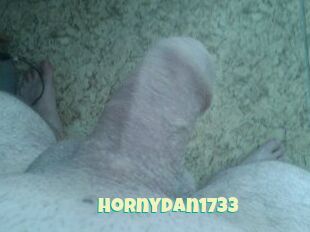 Hornydan1733