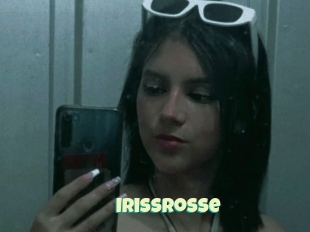 Irissrosse