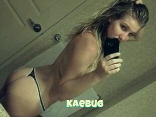 Kaebug