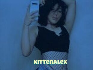 KittenAlex