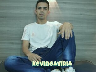 Kevingaviria