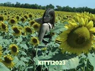 Kitti2023