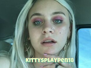 Kittysplaypen18