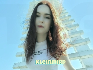 Kleinmird