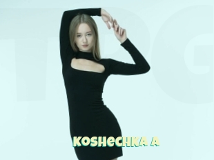 Koshechka_a