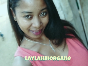 Laylahmorgane