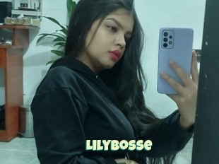 Lilybosse