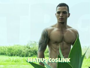 MATIUS_COSLINK