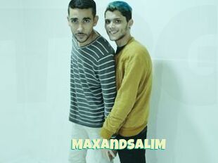 MAXandSALIM