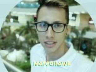 MateoHawk