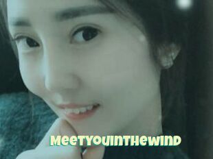 Meetyouinthewind