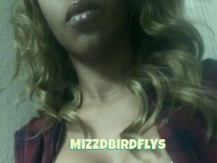 MizzDBirdFlys