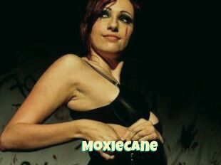 Moxie_Cane