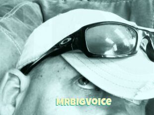 MrBigVoice