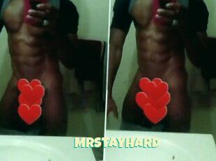 MrStayHard