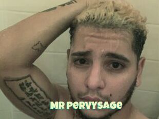 Mr_pervysage