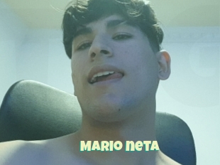 Mario_neta