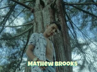 Mathew_brooks