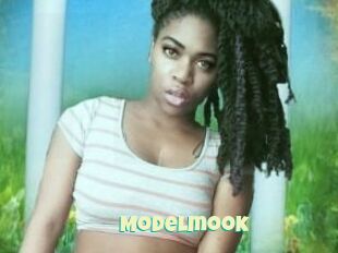 Modelmook