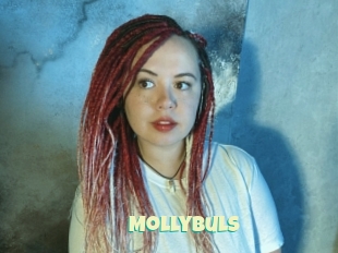 Mollybuls