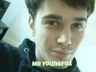 Mr_youngfox