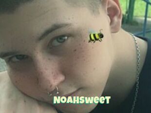 NoahSweet