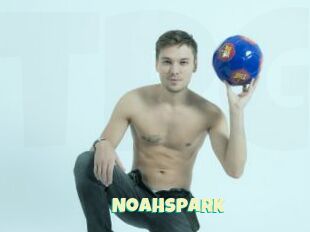 Noahspark