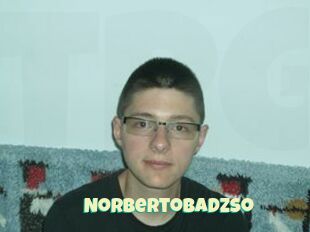 Norbertobadzso