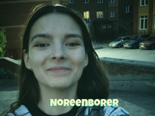 Noreenborer