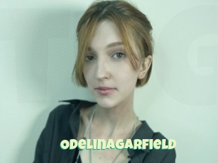 Odelinagarfield