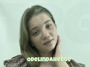 Odelindahedge