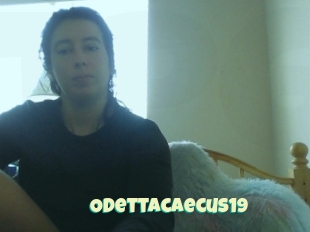 Odettacaecus19