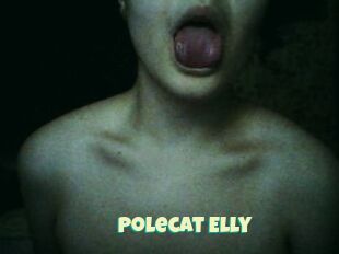 Polecat_Elly