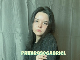 Primrosegabriel