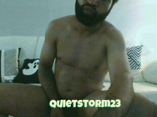 Quietstorm23