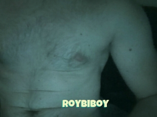 Roybiboy