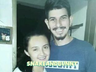 SNAKEANDBUNNY