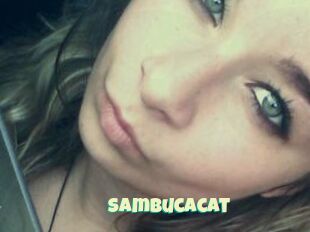 Sambucacat