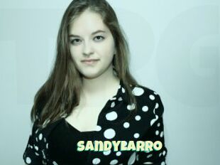 SandyLarro