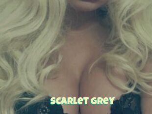 Scarlet_Grey