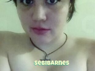 Sebi_Barnes