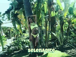 SelenaDice