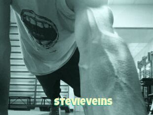 StevieVeins